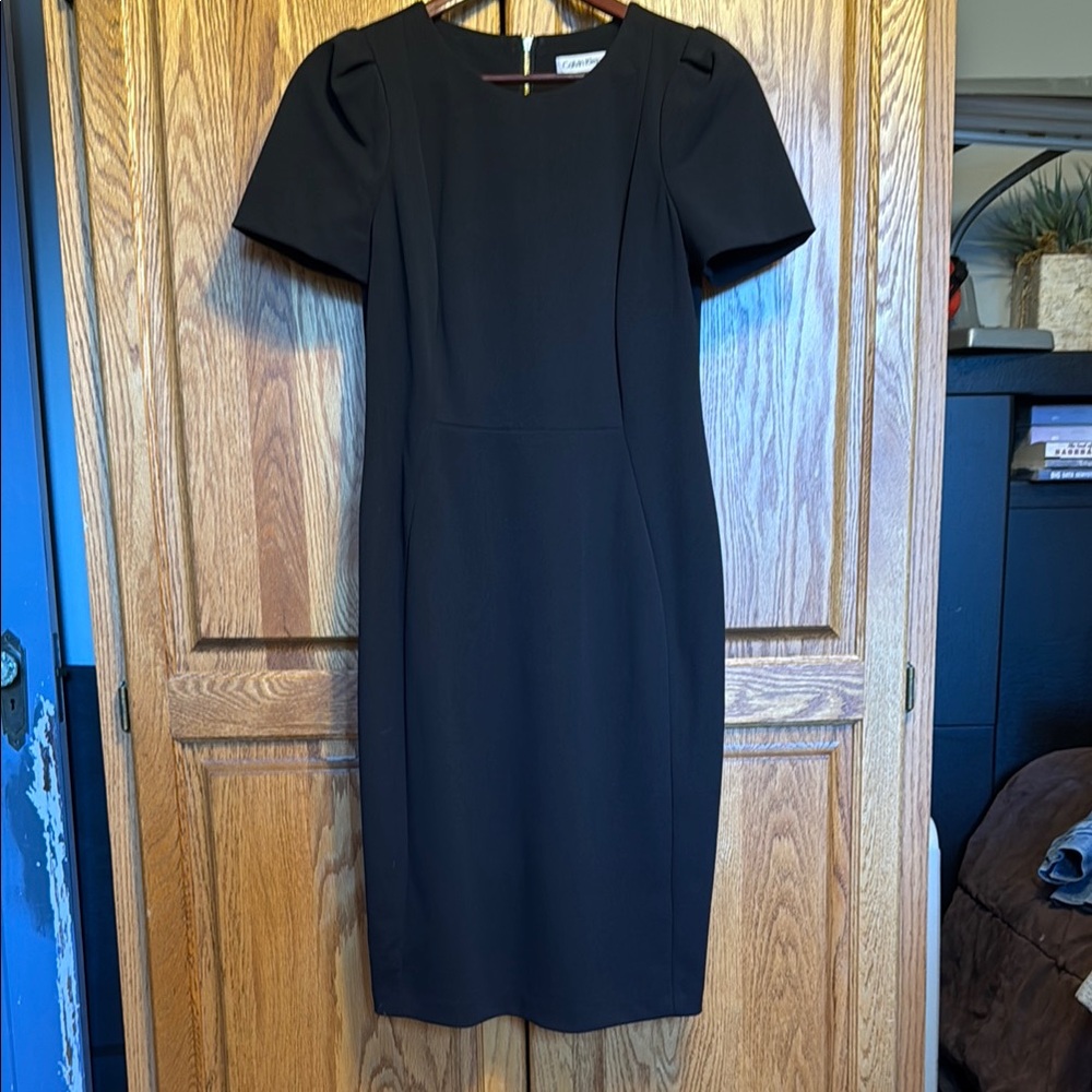 Calvin Klein Short Sleeve Princess Seamed Sheath Dress